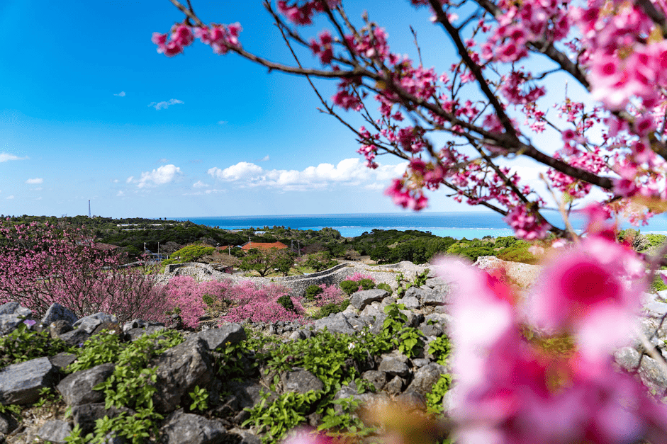 （二）沖繩氣候與氣溫看造訪時機