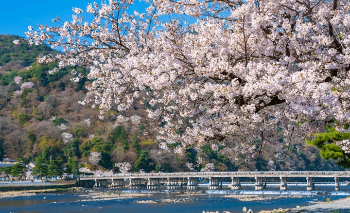 嵐山